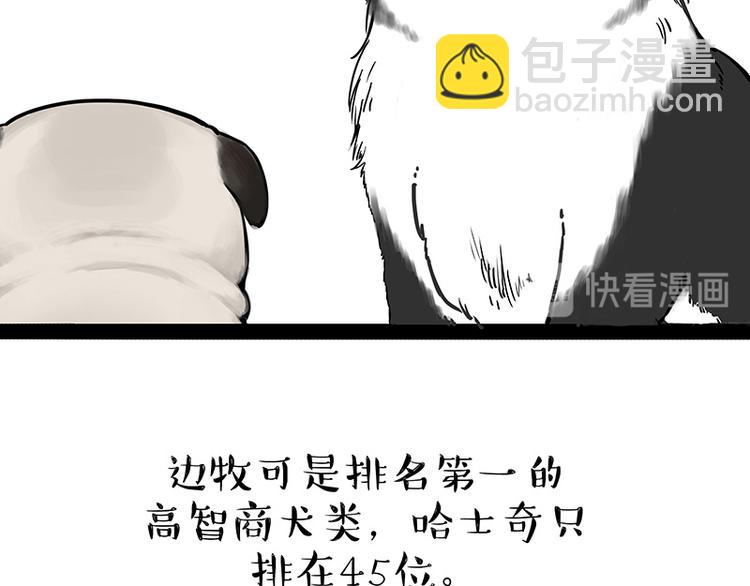 第207话 巴扎黑丢了？！16