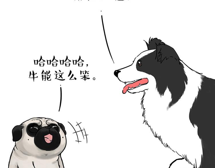 第207话 巴扎黑丢了？！17