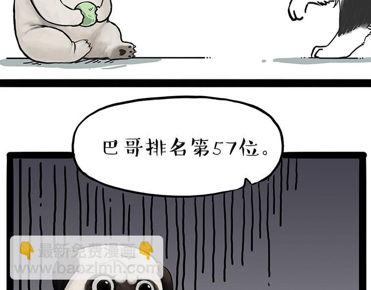 第207话 巴扎黑丢了？！18