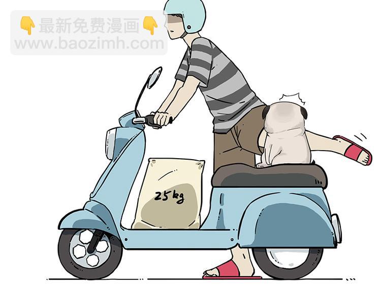 第207话 巴扎黑丢了？！2