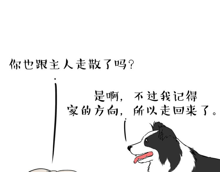 第207话 巴扎黑丢了？！20