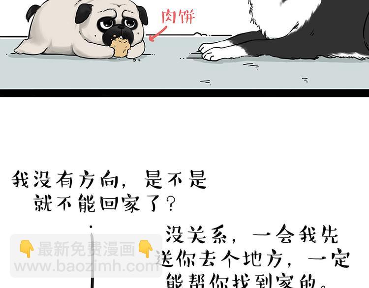 第207话 巴扎黑丢了？！21