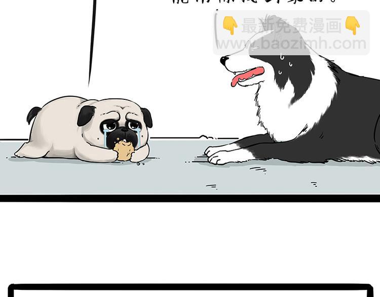 第207话 巴扎黑丢了？！22