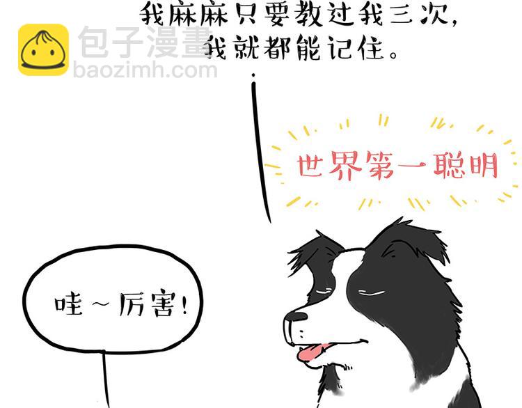 第207话 巴扎黑丢了？！28