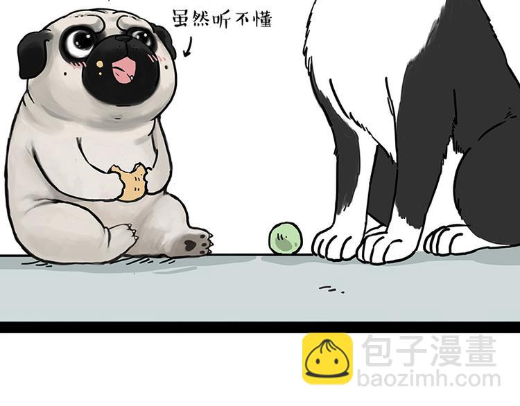 第207话 巴扎黑丢了？！29