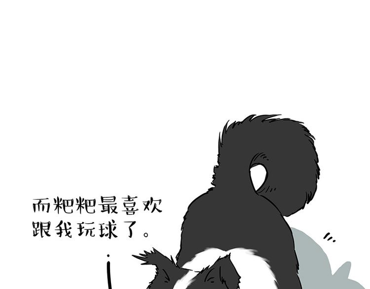第207话 巴扎黑丢了？！30