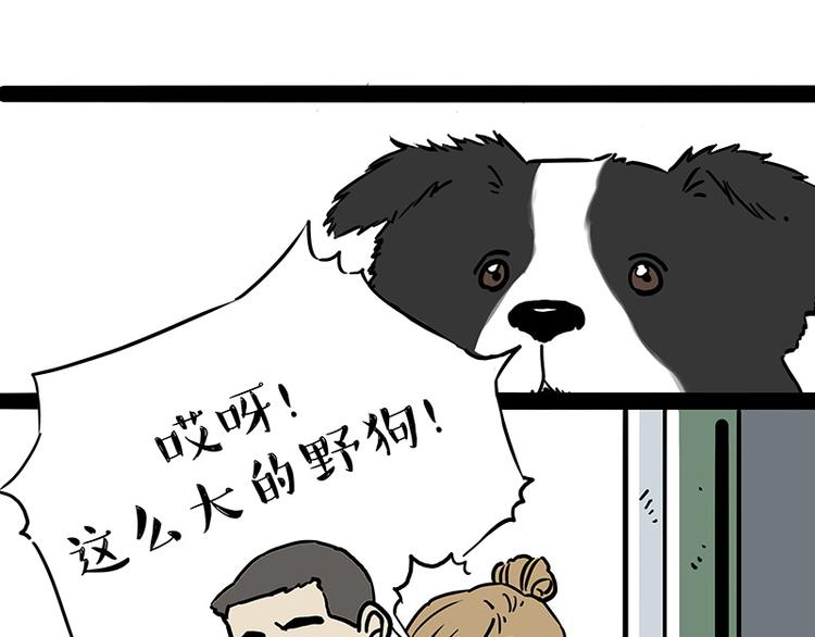 第207话 巴扎黑丢了？！35