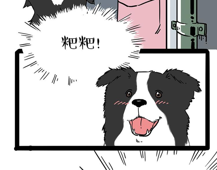 第207话 巴扎黑丢了？！37
