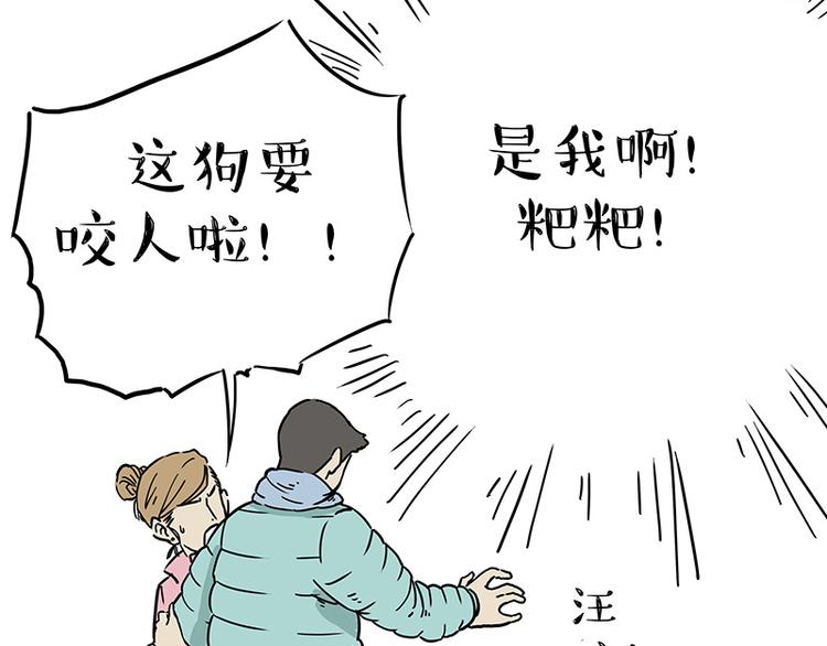 第207话 巴扎黑丢了？！38