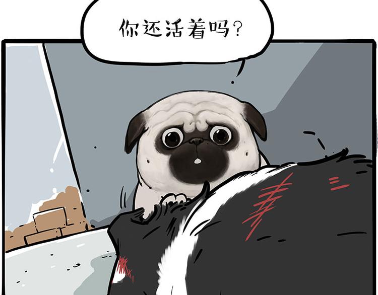 第207话 巴扎黑丢了？！43