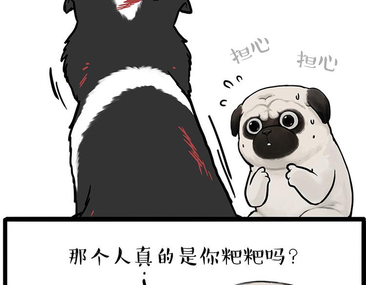 第207话 巴扎黑丢了？！45