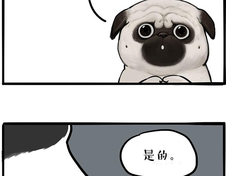 第207话 巴扎黑丢了？！46