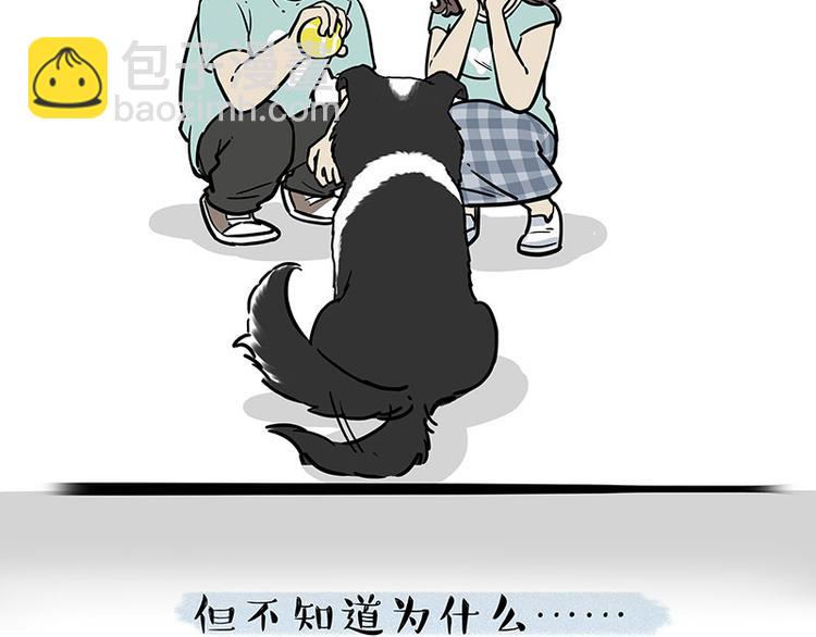 第207话 巴扎黑丢了？！54