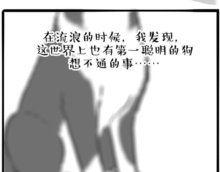 第207话 巴扎黑丢了？！61