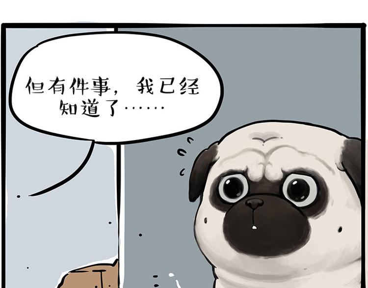 第207话 巴扎黑丢了？！63