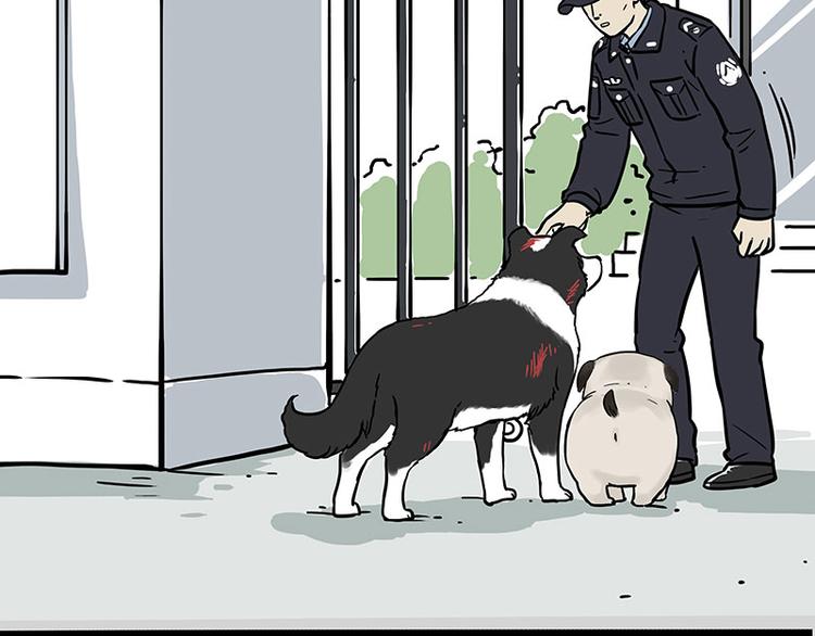 第207话 巴扎黑丢了？！67