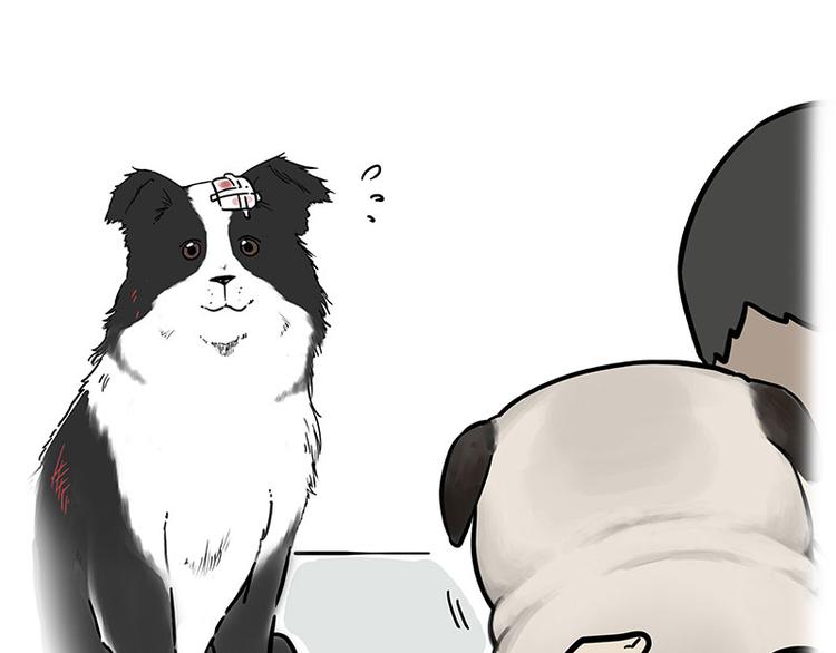 第207话 巴扎黑丢了？！72