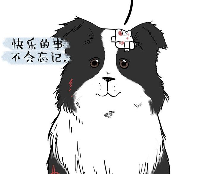 第207话 巴扎黑丢了？！76