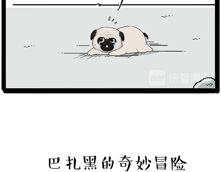 第207话 巴扎黑丢了？！9