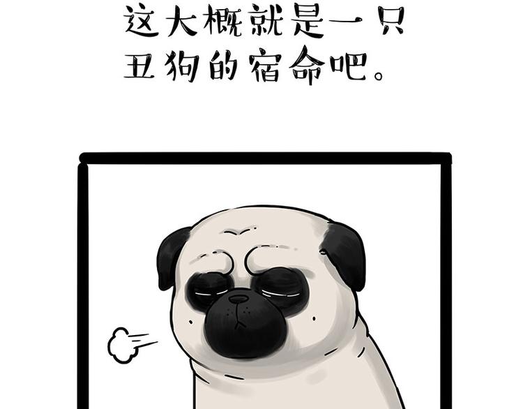 第210话 巴扎黑是最委屈的狗16