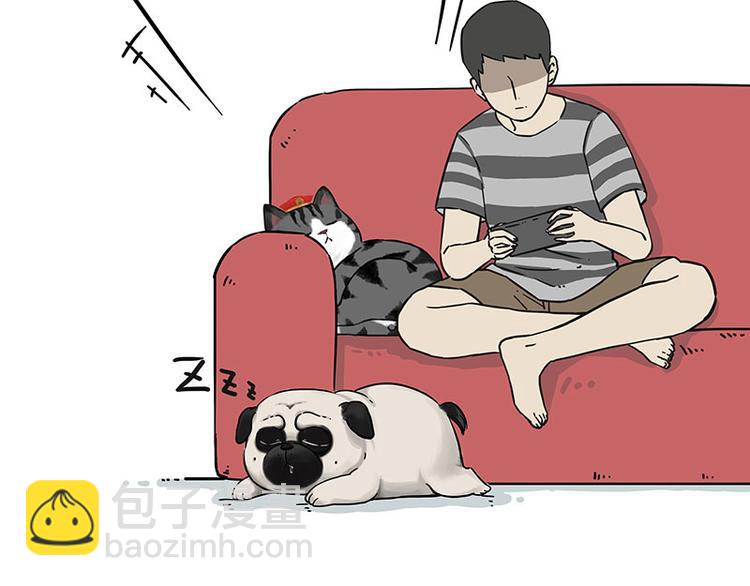 第210话 巴扎黑是最委屈的狗2