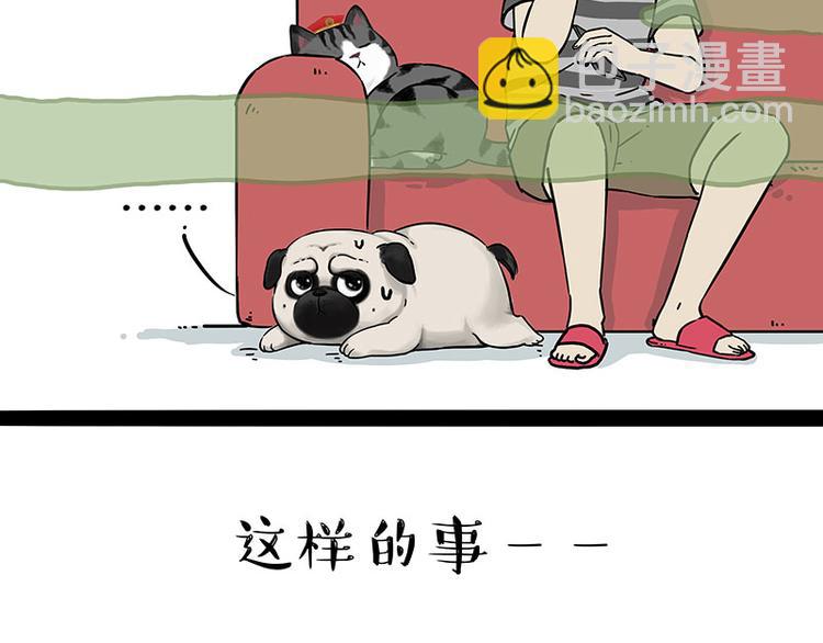 第210话 巴扎黑是最委屈的狗4