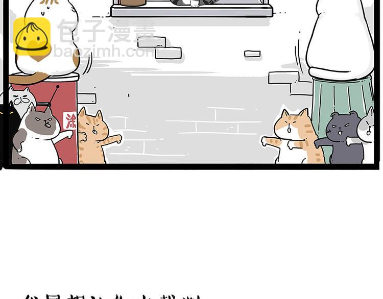 第211话 来吃瓜6