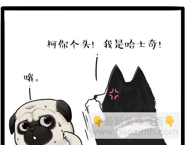 第212话 万能爹和“狗”生15