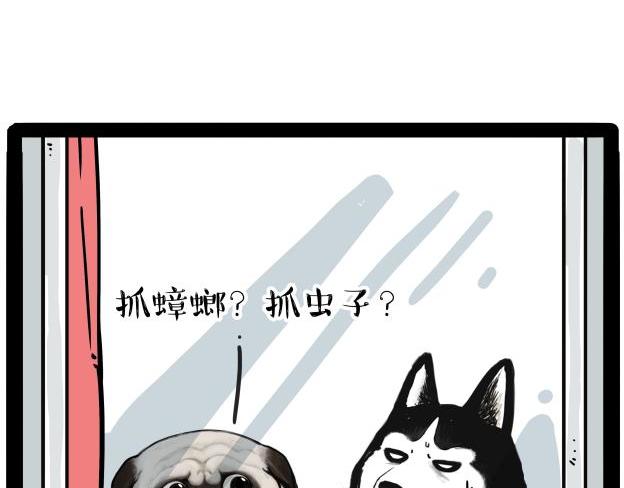 第212话 万能爹和“狗”生28