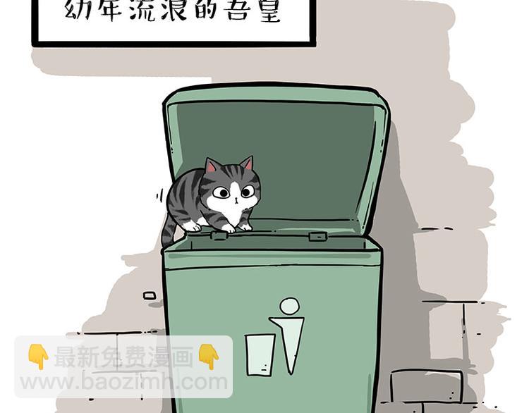 第213话 脱线穿越(上)18