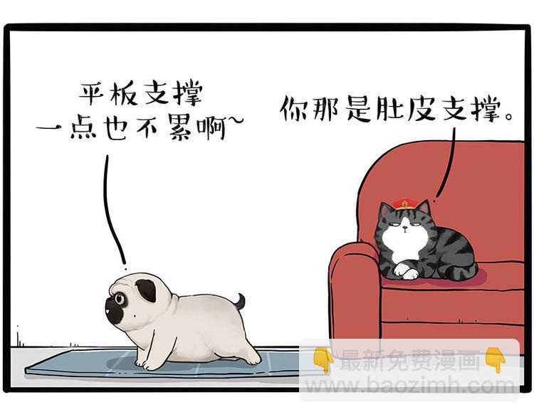 第215话 狗不要了1