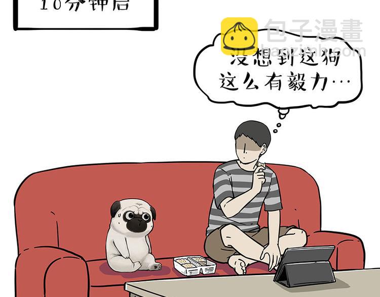第215话 狗不要了21