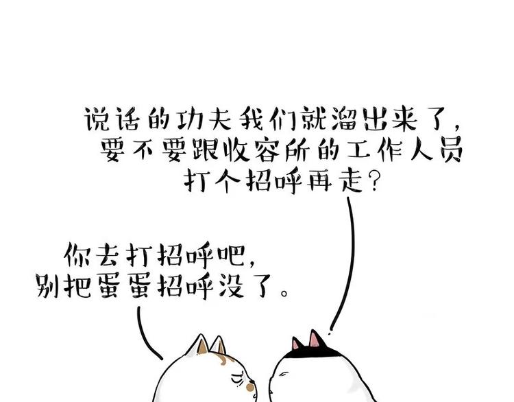 第216话 傲霸求领养了！66