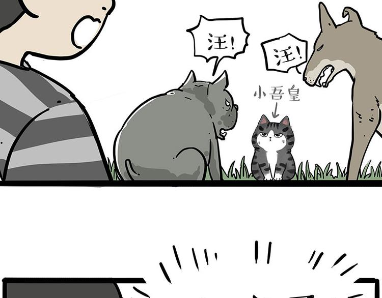 第219话 少年侠.你给我爬！34