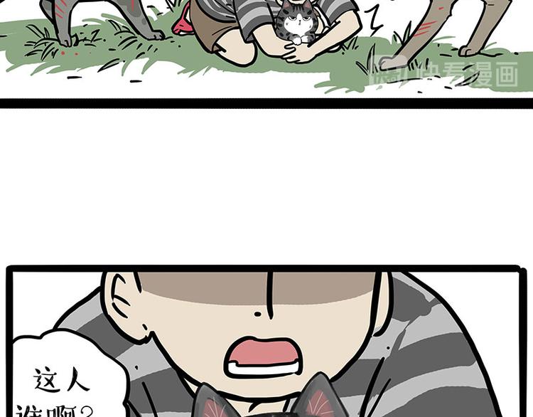 第219话 少年侠.你给我爬！38