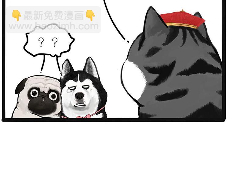 第220话 拆家没怕过谁28