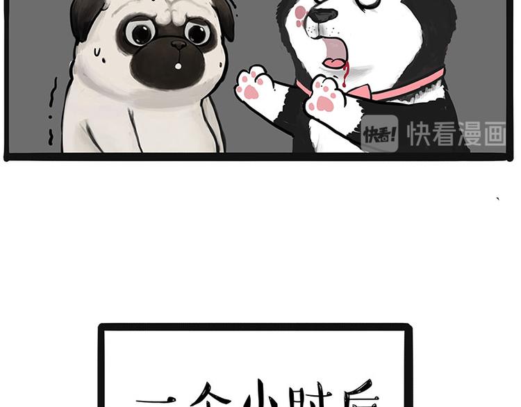 第220话 拆家没怕过谁9