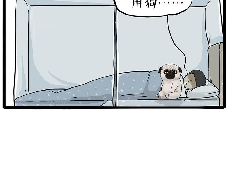 第224话 吾皇驱蚊大法5
