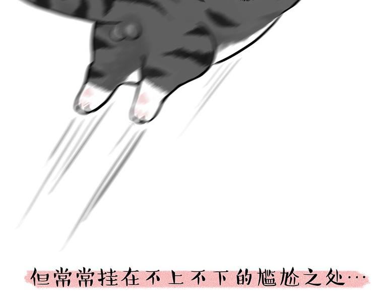 第226话 表情帝13