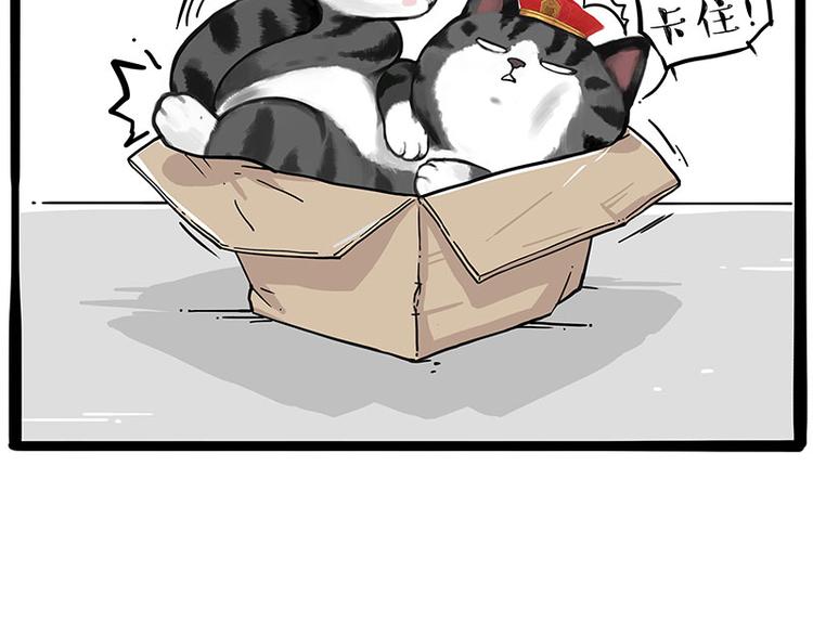 第226话 表情帝25