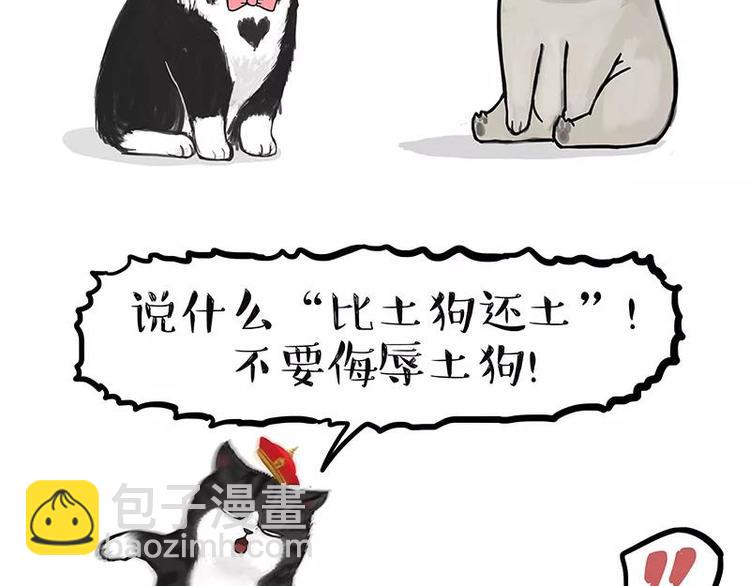 第227话 丑狗宿命1