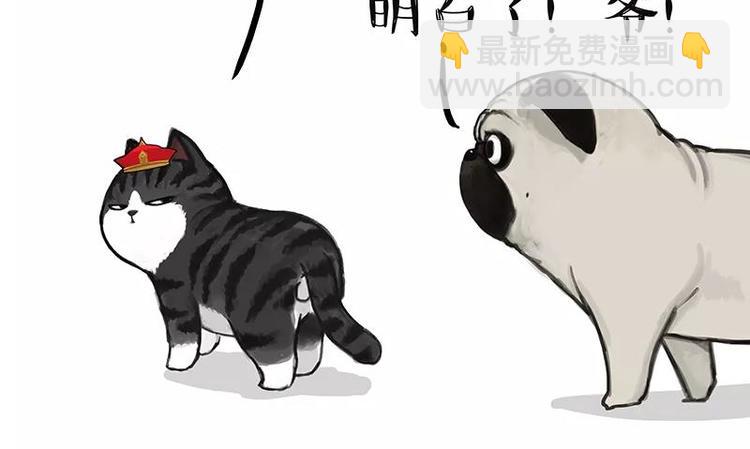 第227话 丑狗宿命11