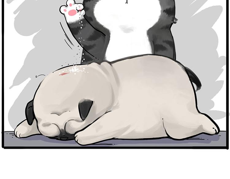 第228话 想摸我？13
