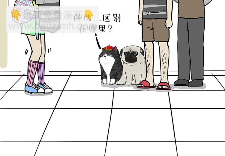 第229话 条纹衫是你的命16