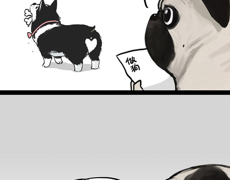 第230话 巴扎黑进娱乐圈？11