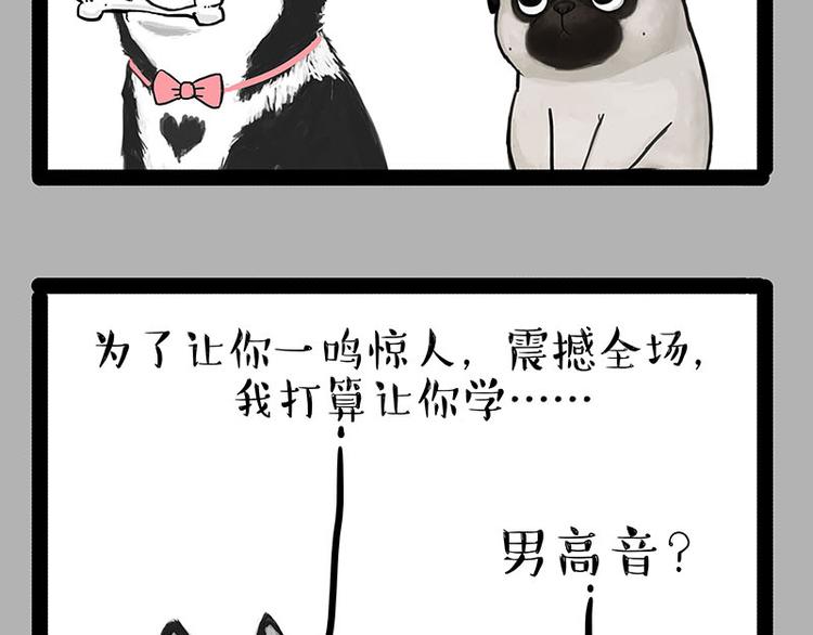 第230话 巴扎黑进娱乐圈？14
