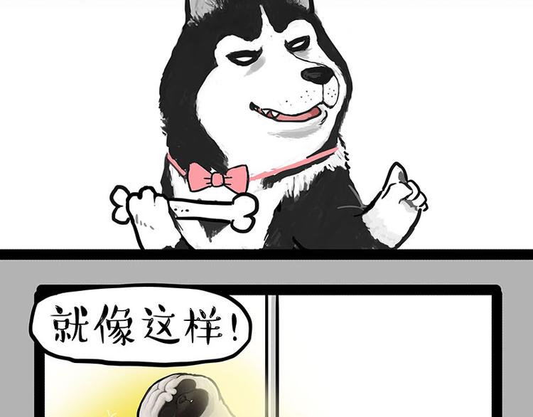 第230话 巴扎黑进娱乐圈？16
