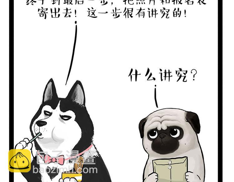 第230话 巴扎黑进娱乐圈？21