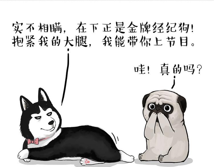 第230话 巴扎黑进娱乐圈？3