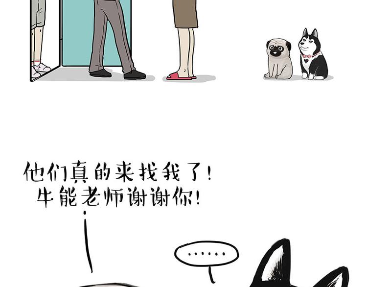 第230话 巴扎黑进娱乐圈？31